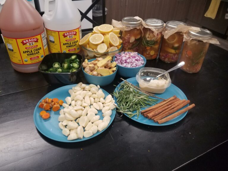 The ingredients for Fire Cider are displayed on a table: Two gallon bottles of apple cider vinegar, a bowl of jalapeno slices, a bowl of sliced ginger, a bowl of chopped red onion, a large bowl of lemon halves, two plates holding chopped turmeric root, whole garlic cloves, fresh rosemary, cinnamon sticks, and a bowl of horseradish. Behind the ingredients are four glass jars containing Fire Cider ingredients.