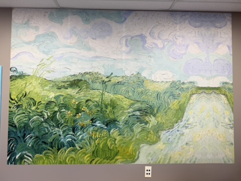 5536491F-F39F-4956-9579-BEDB36DADBE3_4_5005_c